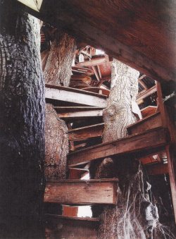 tornsociety:  k1ngdom-h3arts:  xvuvx:  forbiddentruthh:  burghisland: