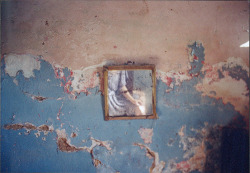 madamezucker:  herbedchamber:  (via heavyhearts)  