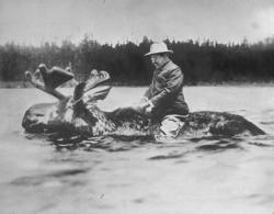 thedailywhat:   From The Archives: Teddy Roosevelt is riding