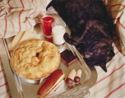 Tigger & apple pie photo by Jo Ann Callis, 1980