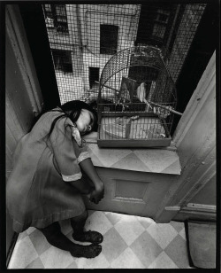 Untitled, East 100th Street (Young Girl in Bird Cage) photo by