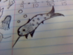 I drew a narwhal tho.