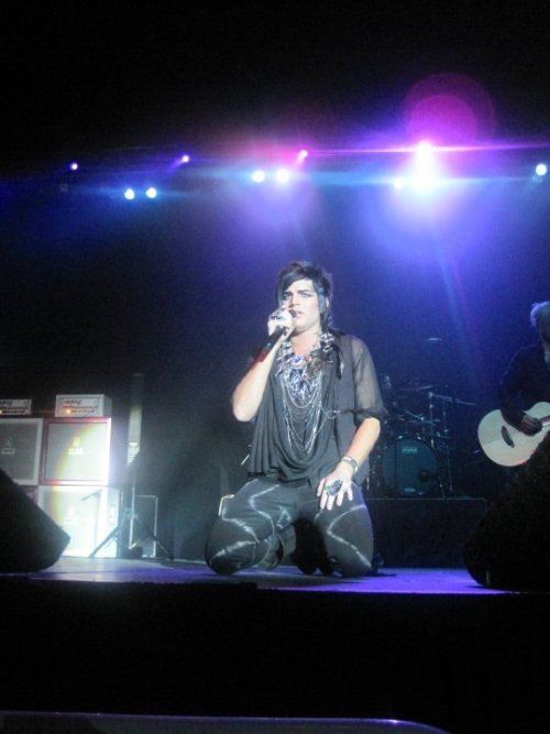 bornwithglitter:   fuckyeahglamberts:   Adam performing at Fantasy Springs     I love the intensity in his face.