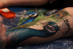 fuckyeahtattoos:   via   I think I need a girl that has a peacock tattoo.