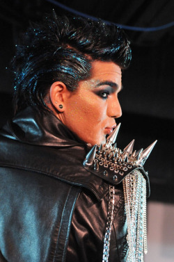 twistedsparkles:   mattrand:   fuckyeahglamberts:   *kisses*   Seriously. This guy fucking showers in glitter. I don’t think I’ve ever seen anyone quite like him and I love it.     He looks absolutely precious here.  He is a tall, well-endowed teddy