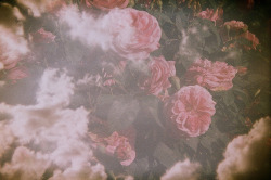 (via misswallflower)