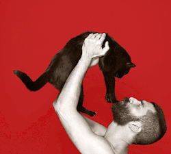 (via mydirtylens)  Meeeeeeeeeeeeeeooowww…