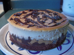 losemydignity:   omgsexyfood:   Peanut Butter Cheesecake    