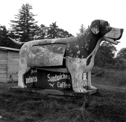 Refreshment stand on U.S. 99, Lane County, Oregon photo by Dorothea