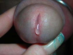 nivbaals:  manhooded:  yourgirlhannah:  Precum coming out of