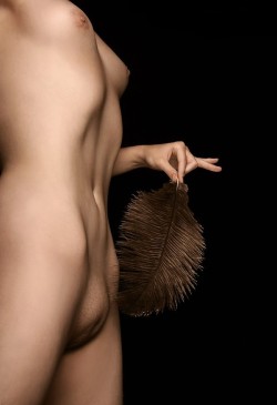 (via croth123, sassified-deactivated20100726-d)  Feather…