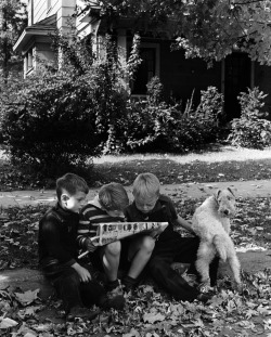 An American Block, Hamilton, Ohio photo by Alfred Eisenstaedt,