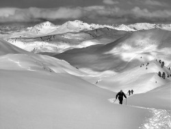 black-and-white:  Scialpinismo - salita alla Dormillouse (by