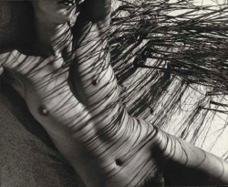 maliciousglamour:  Nude (Mercedes Matter), 1946Photographer: