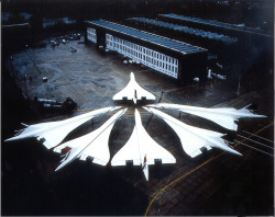 Cluster of six British Airways Concordes, Heathrow Airport 10th