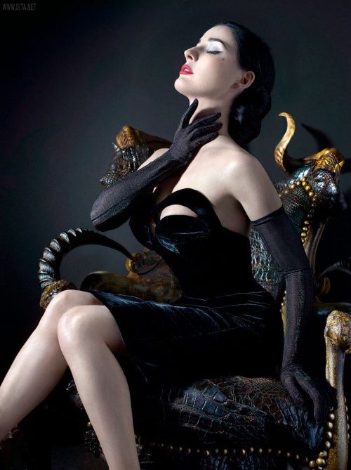 The longer you look, the more you can see this would be a very nasty pose and tease tableau, and lapdance and fuck outfit. wanderer-of-dark-dreams:  wolgan:  ilovepinups:  samuraifrog:  wardrobemalfunction:(via bohemea)  Dita Von Teese   Dita is awesome