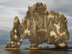 theworldwelivein:  Hvítserkur, Iceland © sigfus.sigmundsson