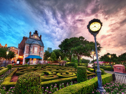 kari-shma:  Beautiful Disney World at Sunset (by Stuck in Customs)