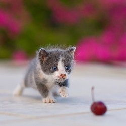 loveyourchaos:  © serhatdemiroglu 