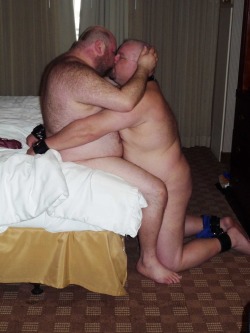 buriedbygayflesh:  chaserpa:  yessirbears:  Nice  (via lfbears)