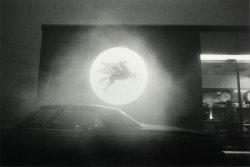 Christmas Eve Pegasus, N.Y. Thruway photo by Elaine Mayes, 1972