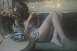 by David Hamilton