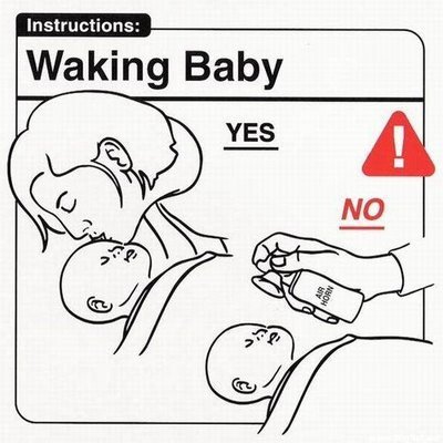 The Baby Manual