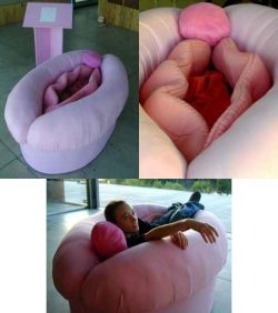 reannmallari:  charweeez:  i want a vagina couch ..  lolol ,