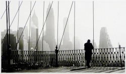 milk:  queenofcansandjars:  garotanohall:  Paul  Himmel - Brooklyn