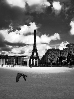 black-and-white:  la dame de fer 