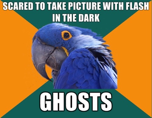 (via fyeahparanoidparrot)