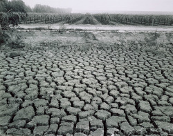 untitled photo by Robert Dawson, The Great Central Valley project,