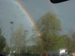 OMG! DOUBLE RAINBOW!  DRIVING TO IKEA!  4-27-10  looking