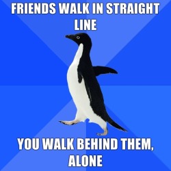 Socially Awkward Penguin.