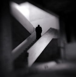 luzfosca:  tartanspartan:  Stairway — Keith Carter, 2005  