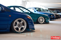 kevinjdm:  From Civics to Integras to TSX’s to EG’s to EK’s