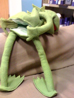 I always suspected Kermit was a bottom.