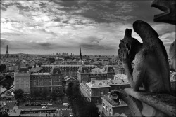theworldwelivein:  Gargoyle overlooking the city of Paris, from