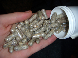  shroom pills 