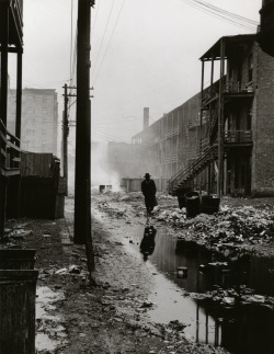 liquidnight:  Wayne F. Miller An alley between overcrowded tenements,