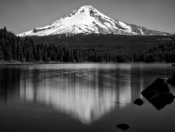 black-and-white:  Mt. Hood & Trillium Lake (by Eric__) 