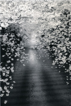 artemisdreaming:  Kawa=Flow exhibition Masao Yamamoto 