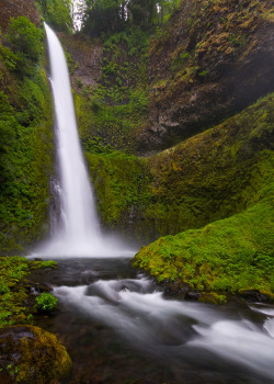 ysvoice:  | ♕ |  Eagle Creek wilderness, Oregon   via ninbra: