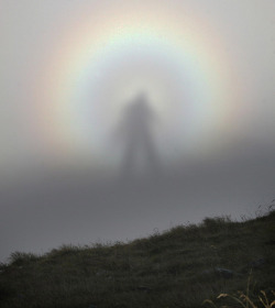 jonwithabullet:  A rare optic sight, the “Brocken spectre,”