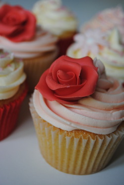 onlycupcakes:  Via Bath Baby Cakes 