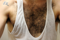 mauriziofiorino:MY HAIRY CHEST.