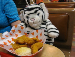 tigerator: fattiger: Eating some chicken. Typical Fat Tiger.