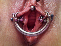 pussymodsgalore  VCH piercing, inner labia piercings and spreader