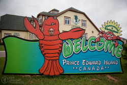 Neff doing his best lobster impersonation on Prince Edward Island.