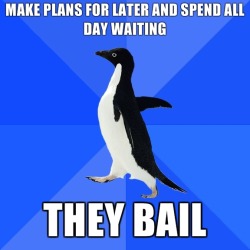 Socially Awkward Penguin.